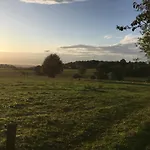 L'aragne