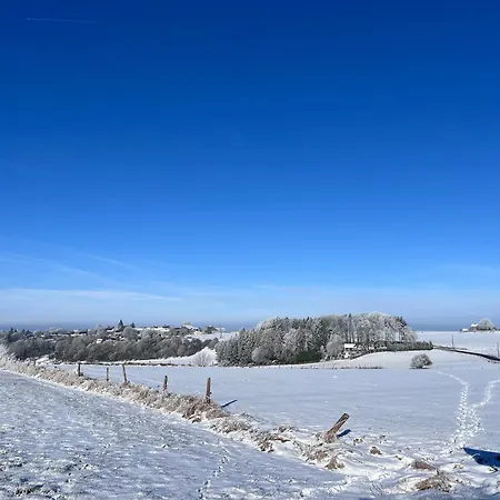 L’aragne