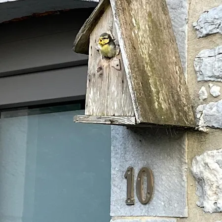 L'aragne Πανσιόν Ντινάντ