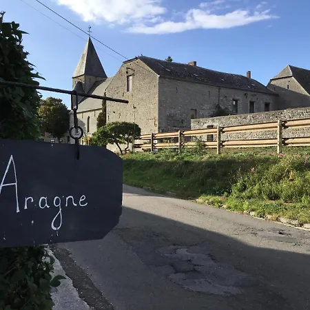 L'aragne *