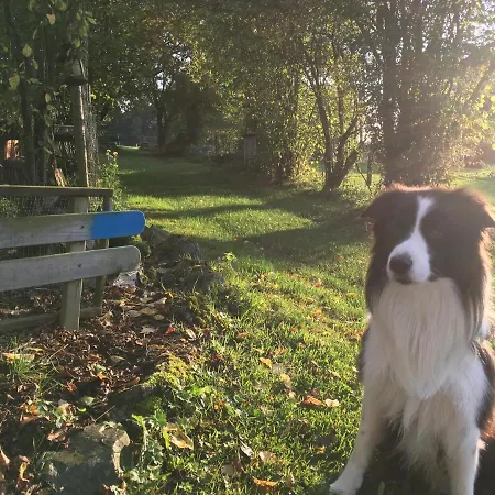 L'aragne Πανσιόν