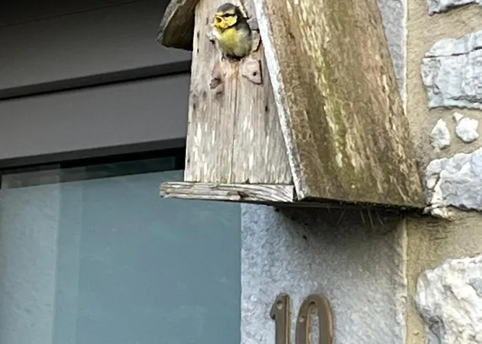 L'aragne Гостевой дом Динан