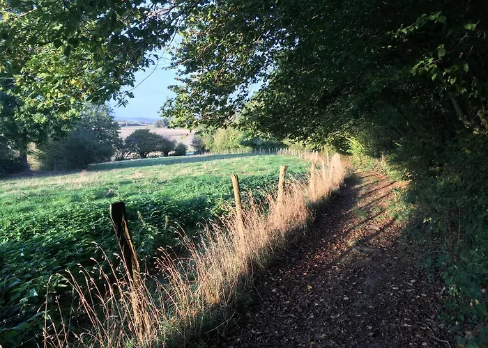 L'aragne Гостевой дом 4*